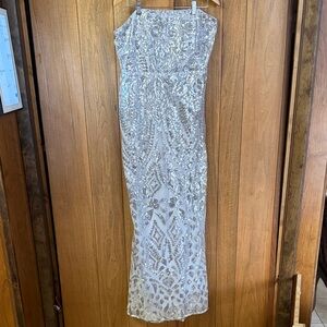 Elegant Silver Sequin Dress